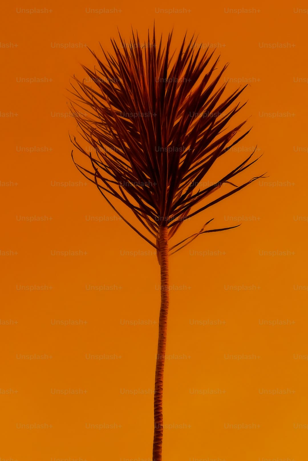https://x0.ifengimg.com/thmaterial/2023_22/ED19CEACE4494AE596D4144A6CBD7B20_w120_h120.png